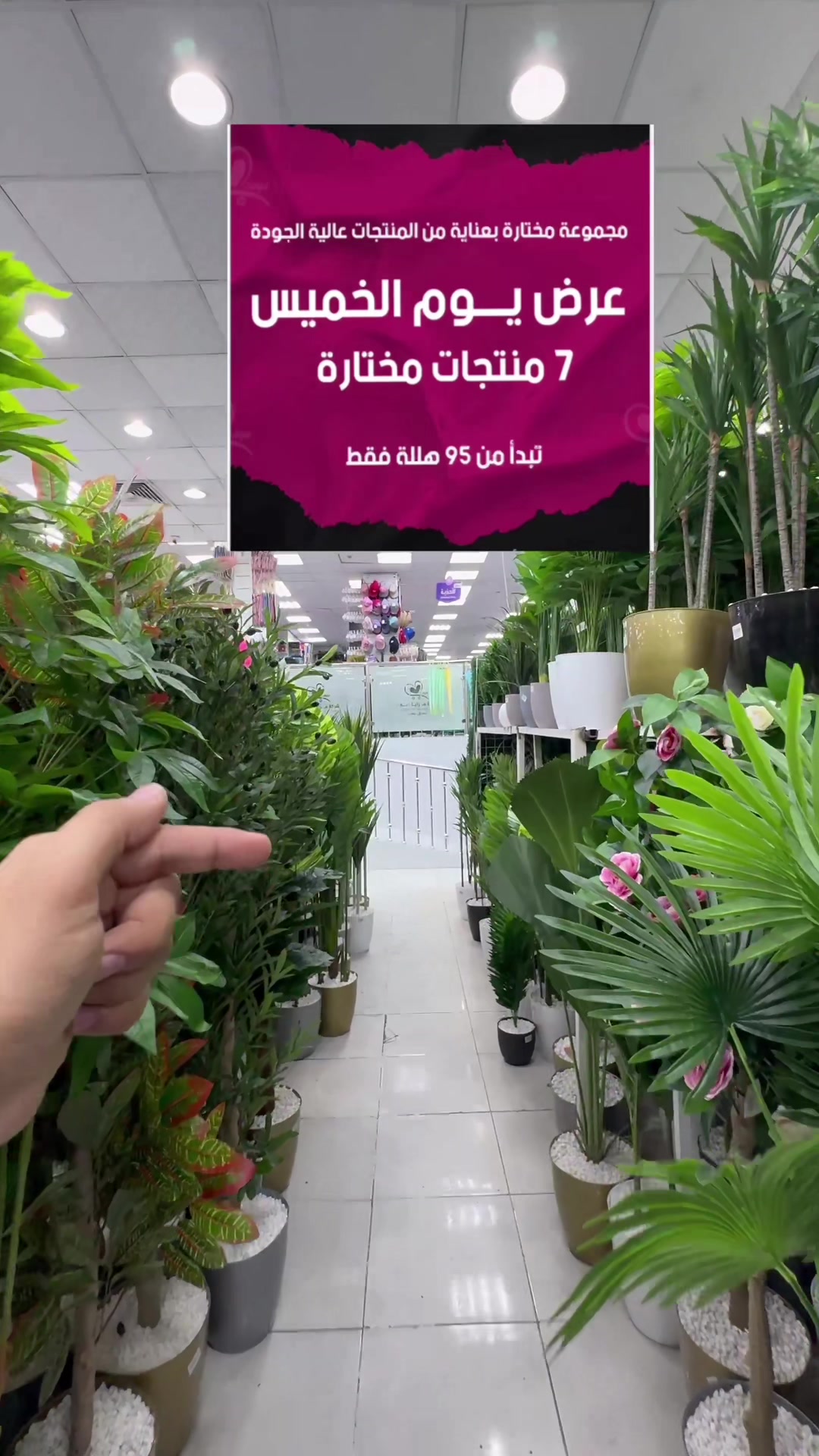 @شركة مزايا دبي - مكة - الشرائع