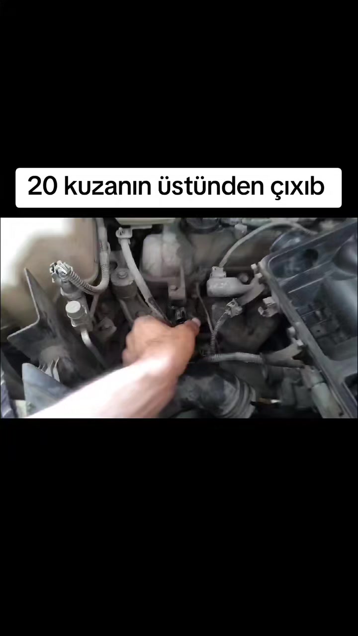@ismim_diller_ezberidir_