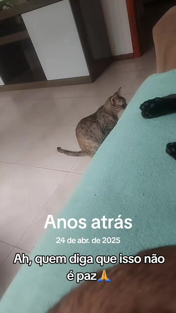 @Luci
