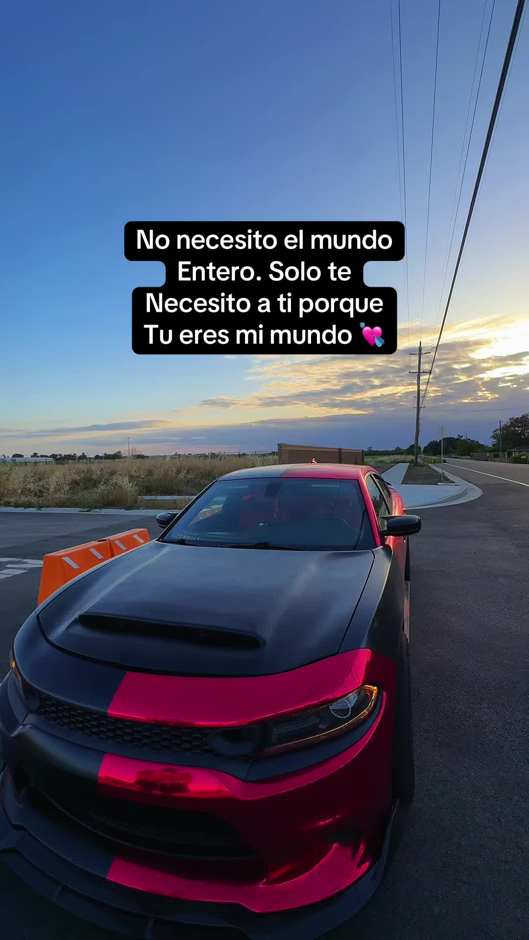 @Arami M