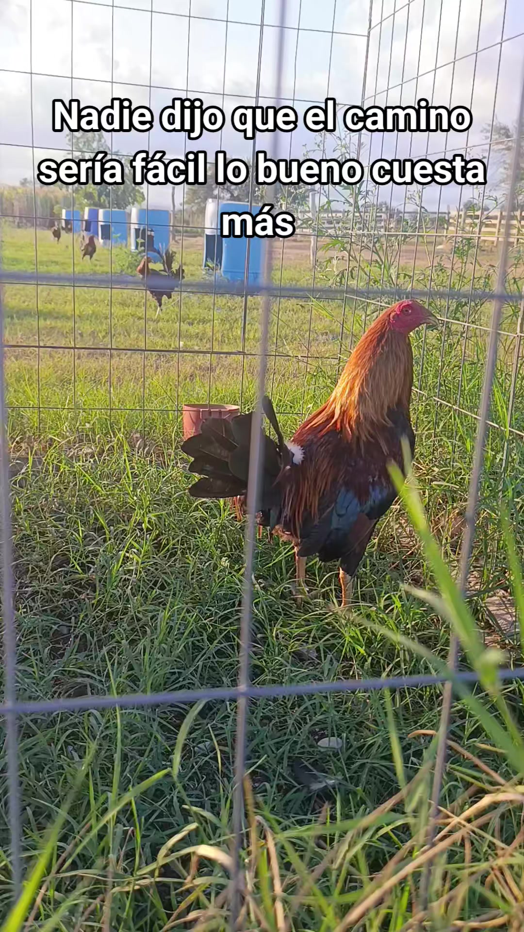 @Toño Moreno