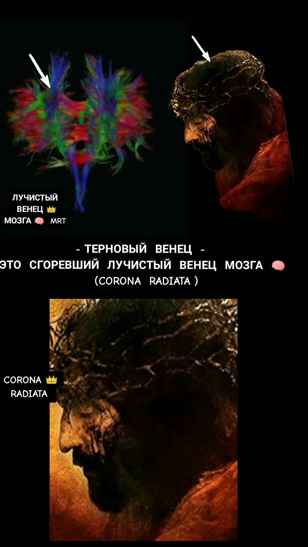 @ОЛЬГА ВЕЛЖИЧ