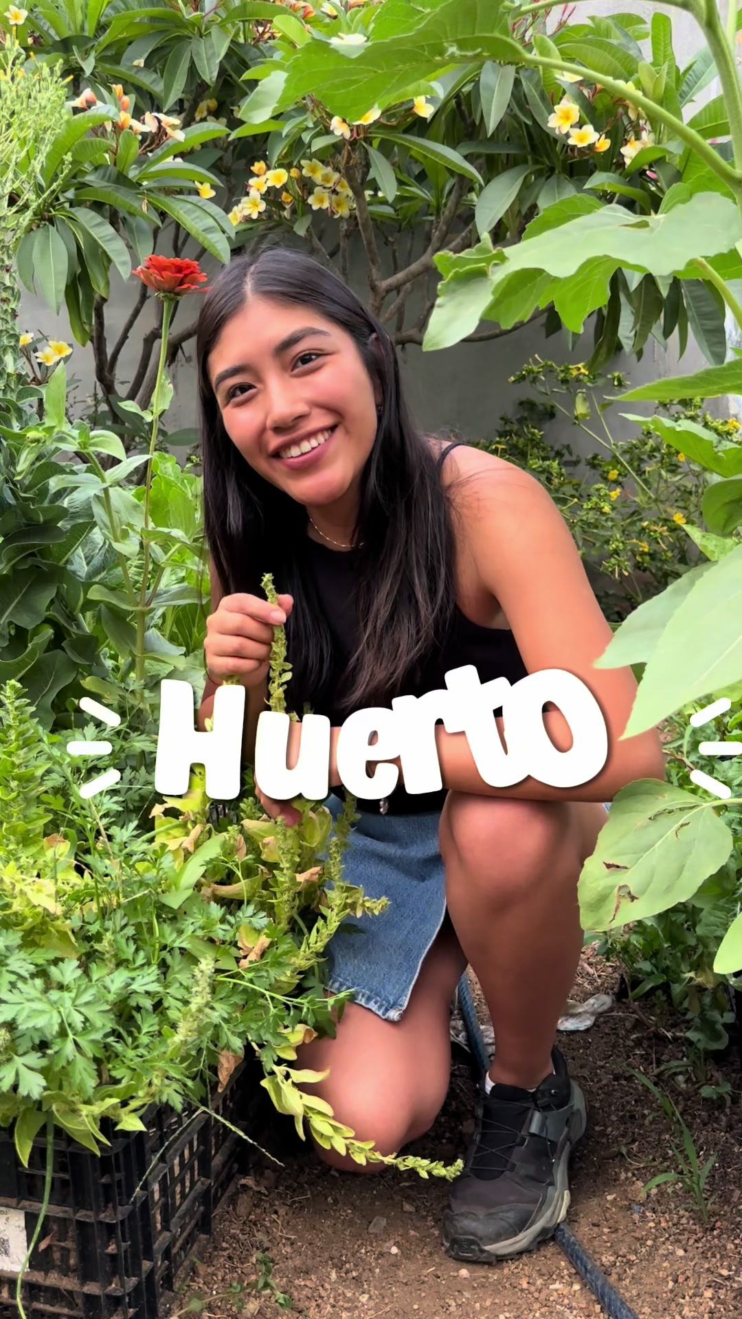 @cultivaconkarla