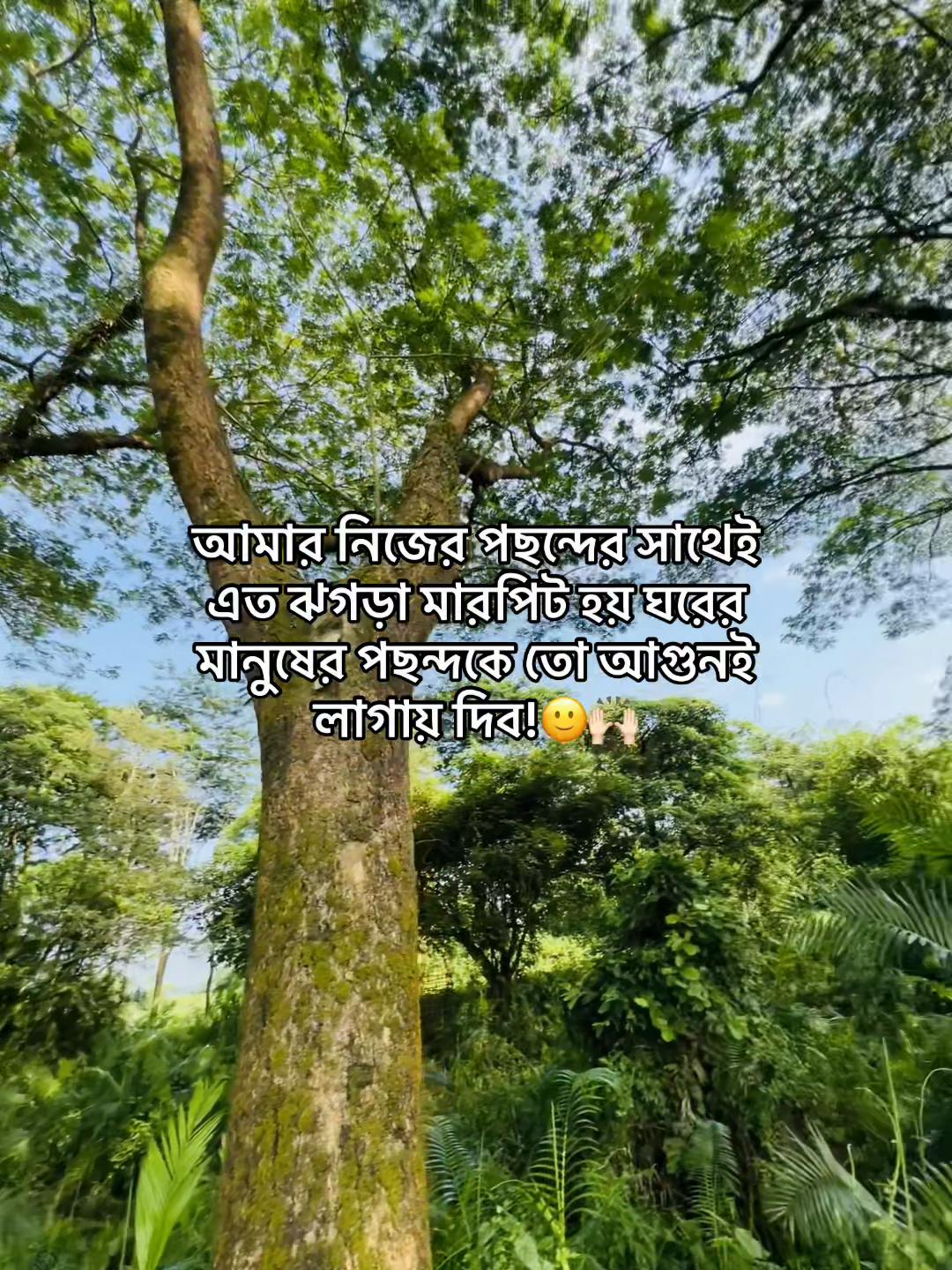 @টিক-টিকি
