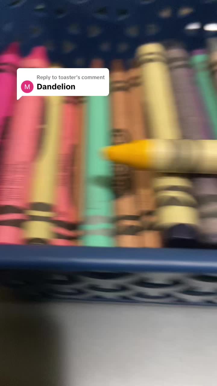 @🌪️🫧looeys #1 fan!!!🦭🐚