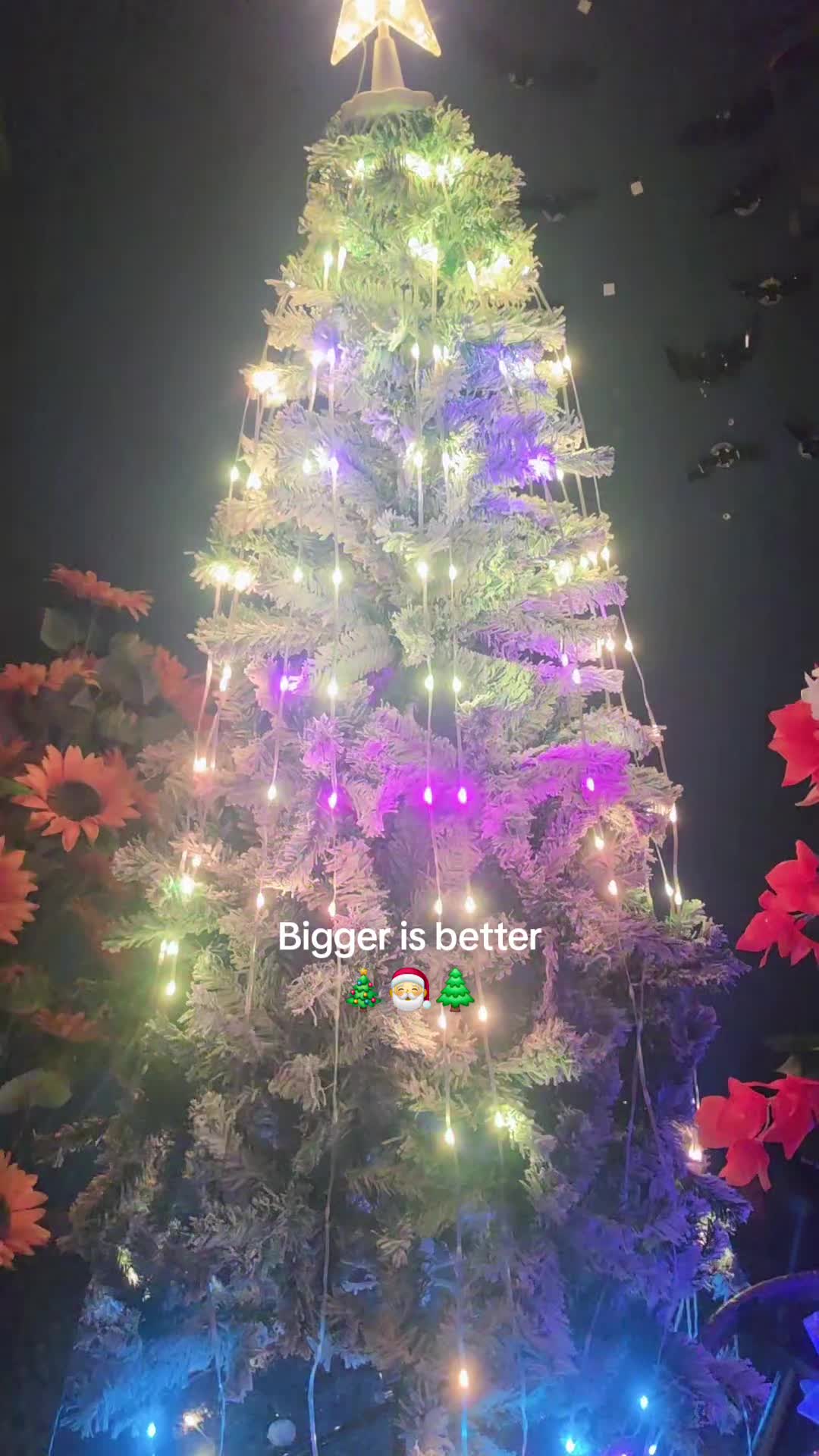 @Cathy (WB)