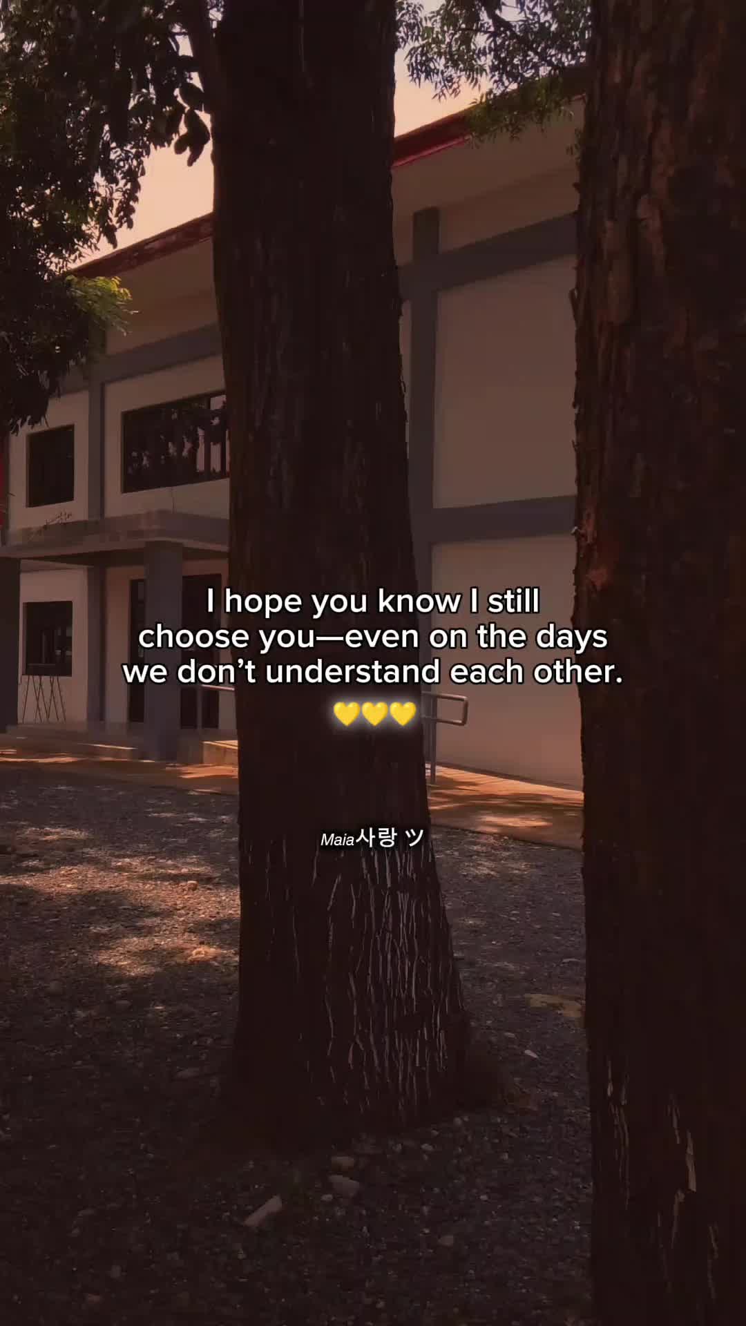 @𝘔𝘢𝘪𝘢사랑 ツ