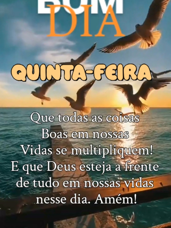 @Niube Resende💃👠📕🇧🇷🌻