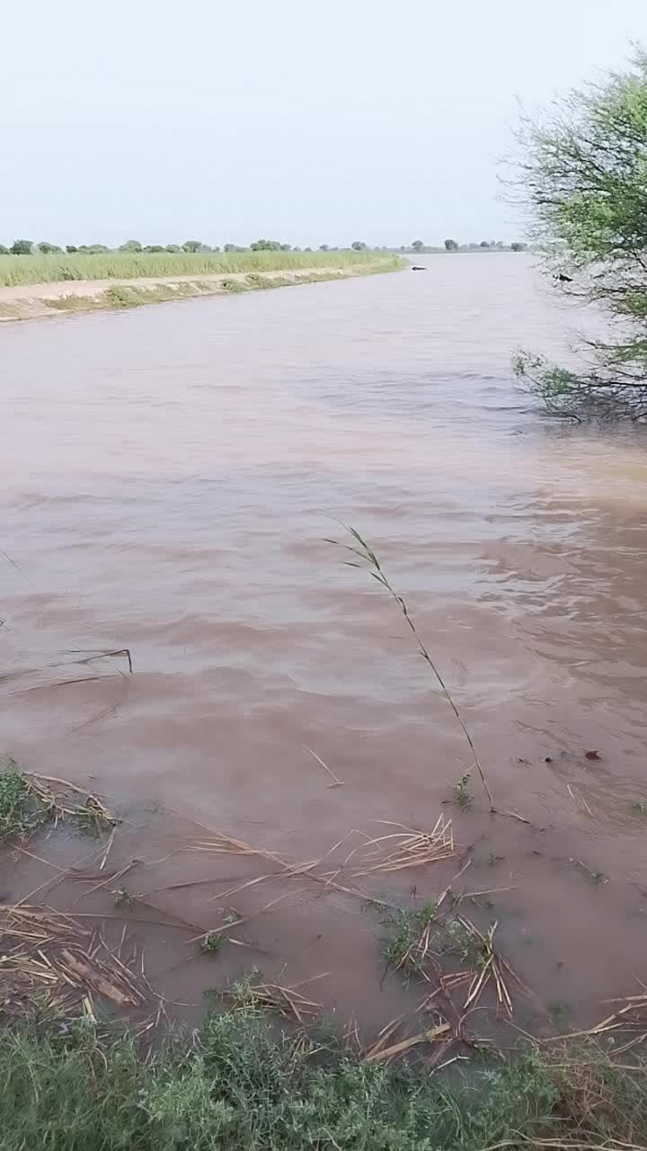 @Qasim malik