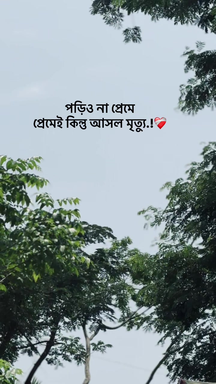 @সা জু 📜
