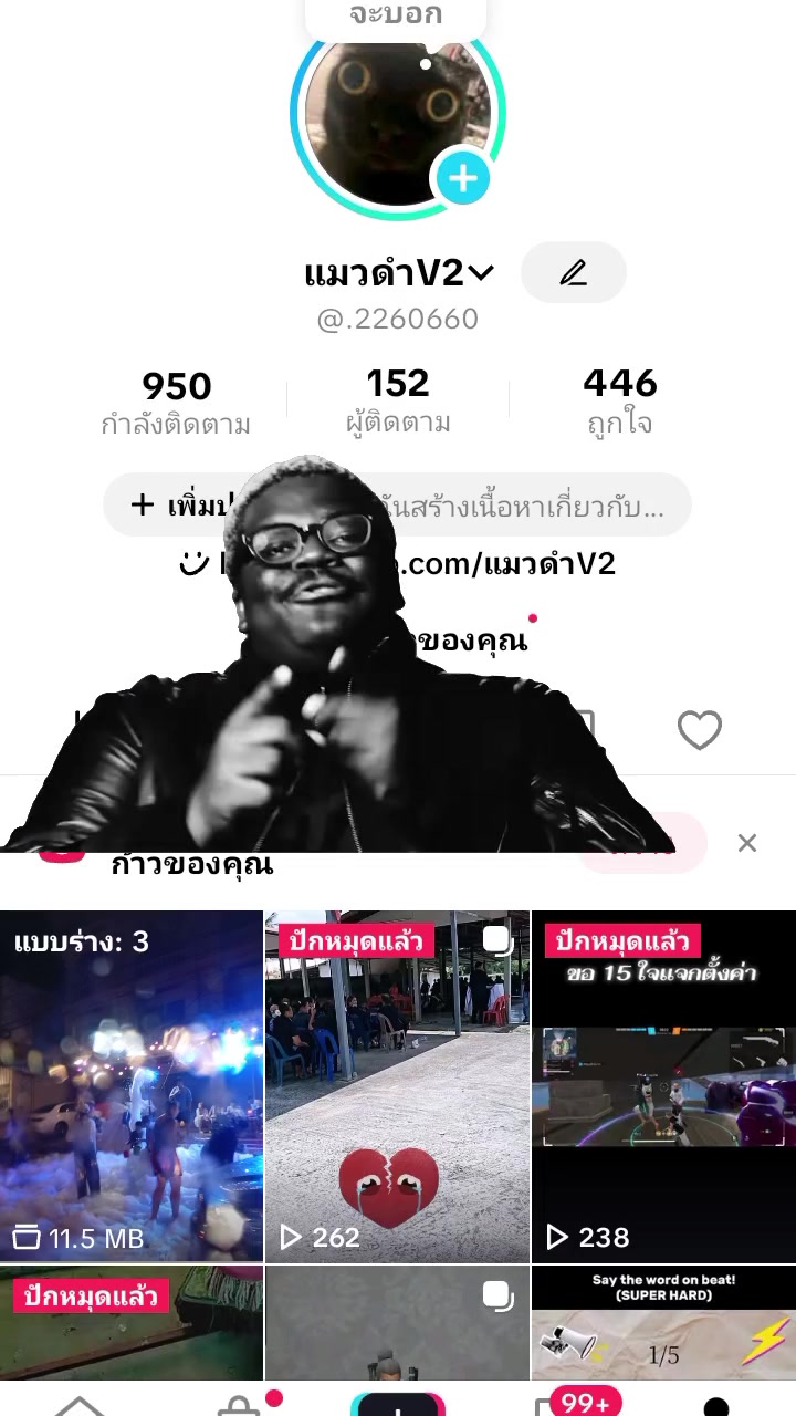 @แมววัดพันปี