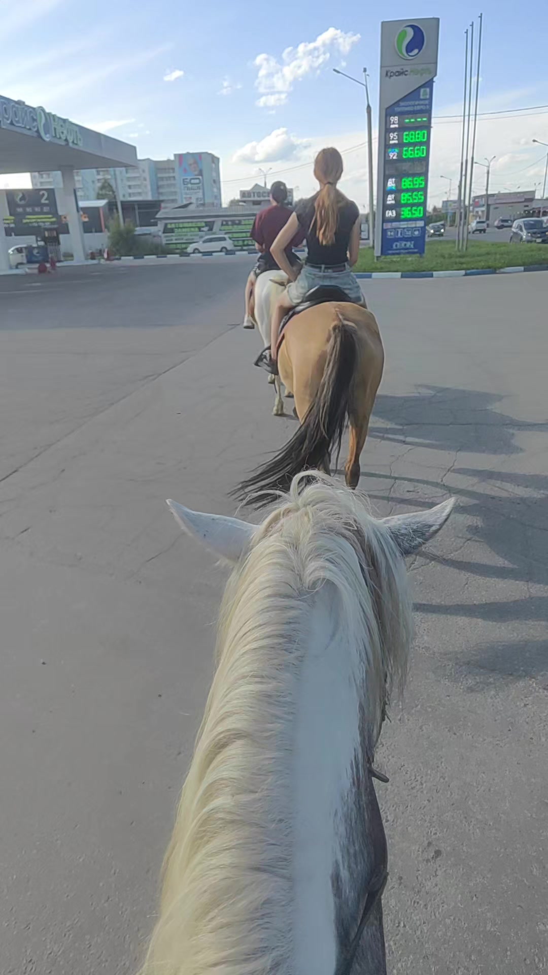 @тгк: лапочкина