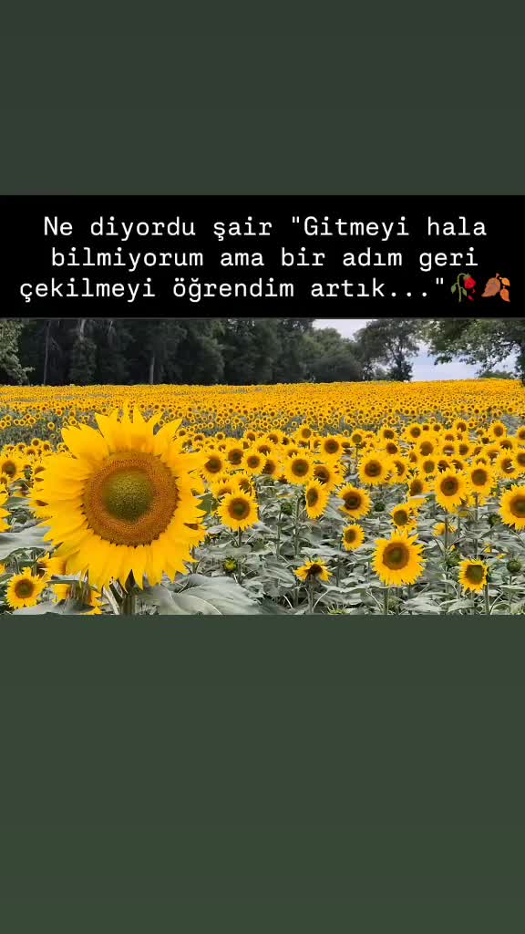 @Tanjucoskun51