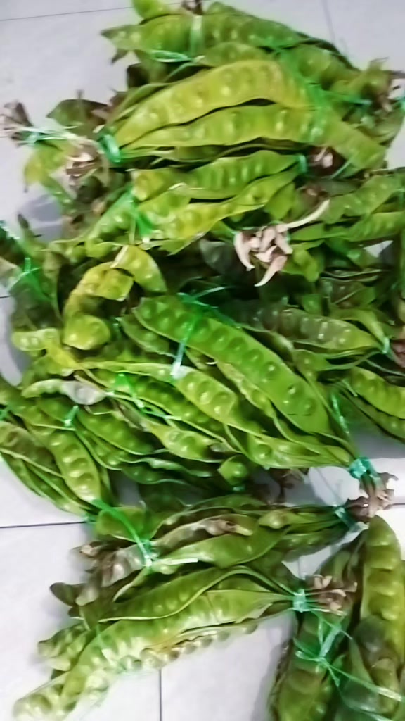 @TORUSMA PASARIBU