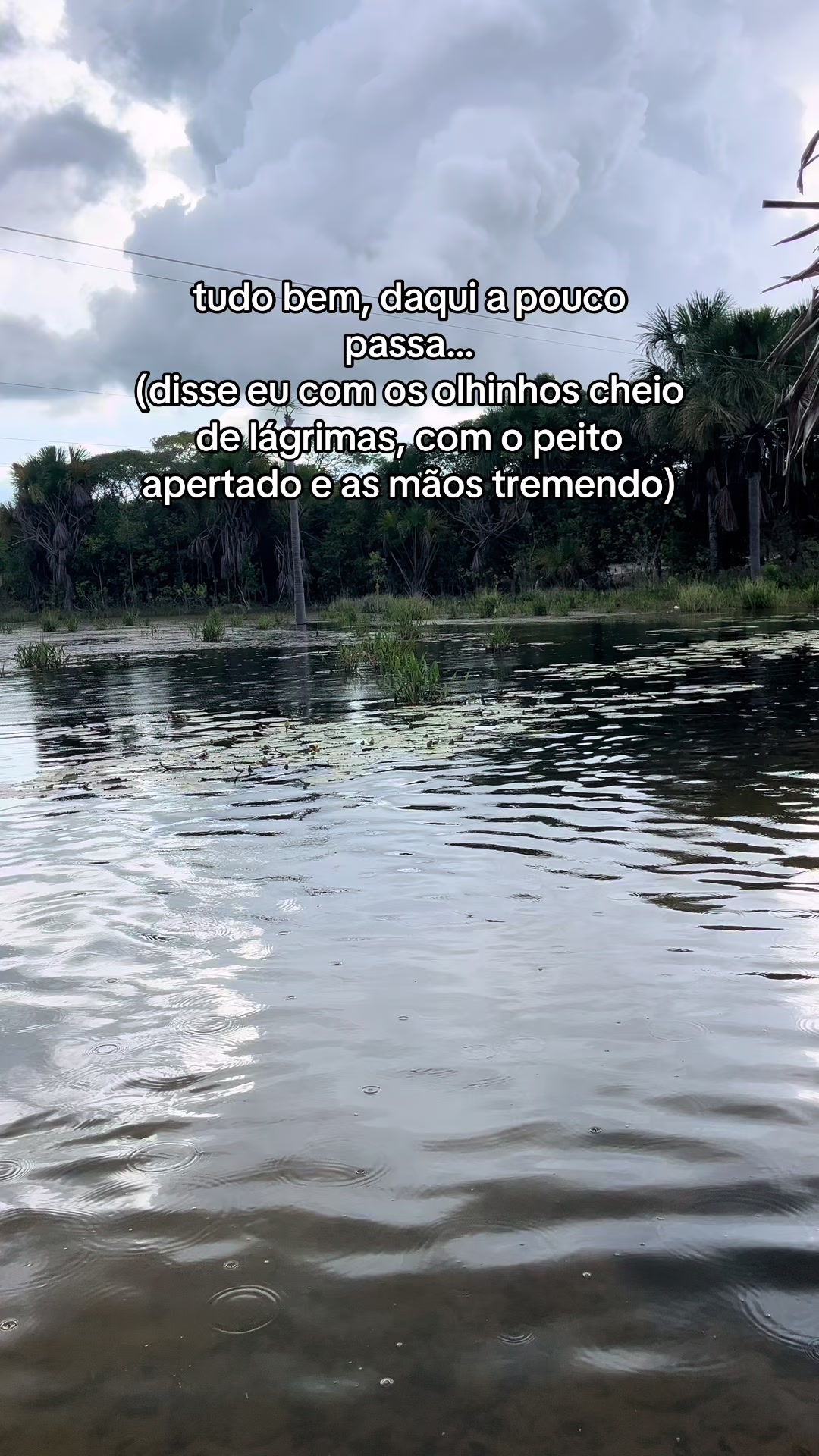 @Replay da vida
