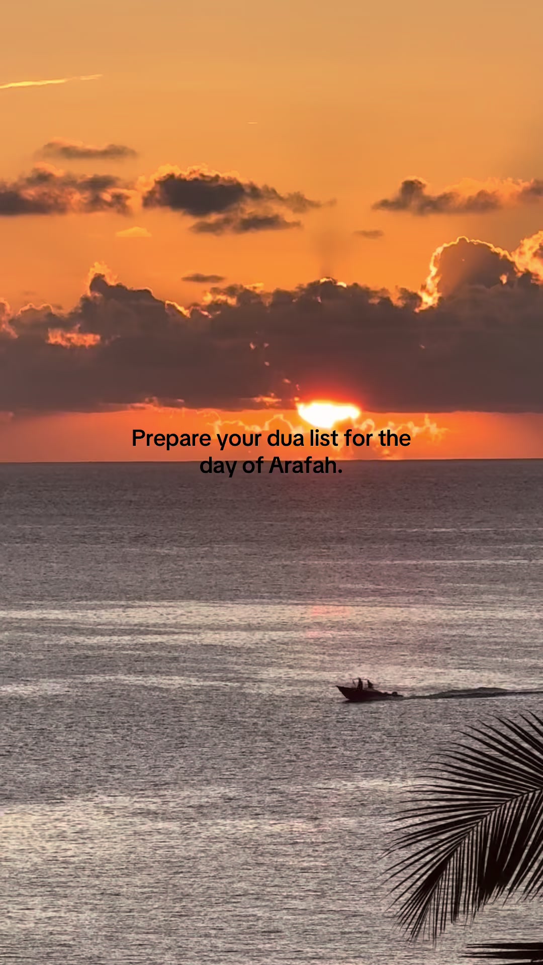 @Alzaff.ff