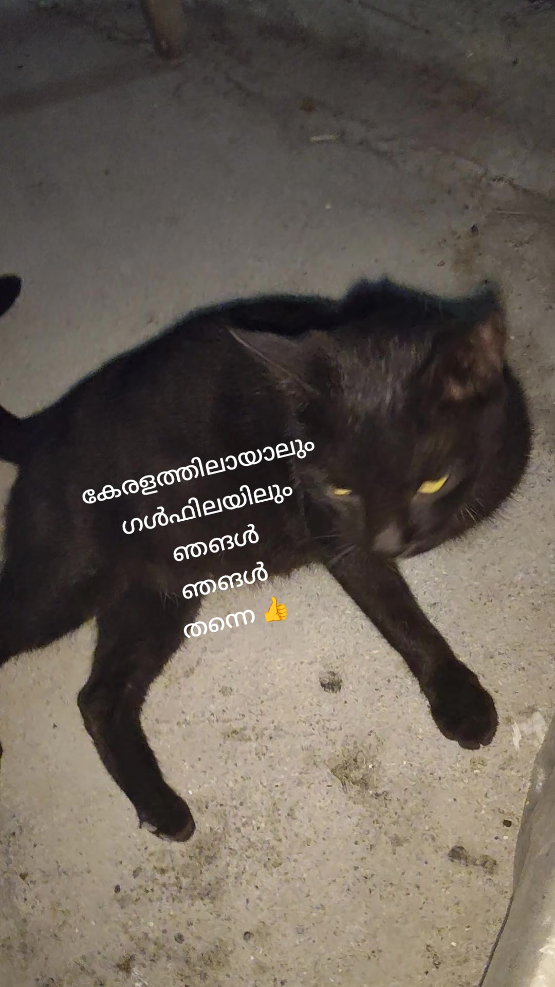 @chinnu👍🏽