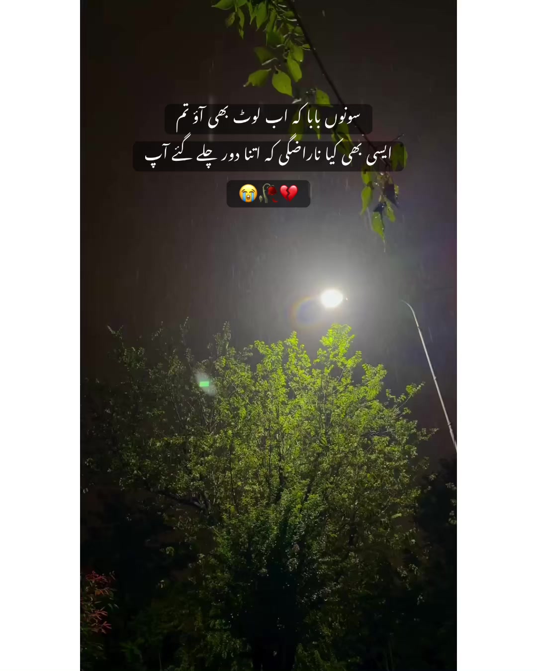 @⚜️𝐊𝐇𝐎𝐊𝐇𝐀𝐑❤️🩹