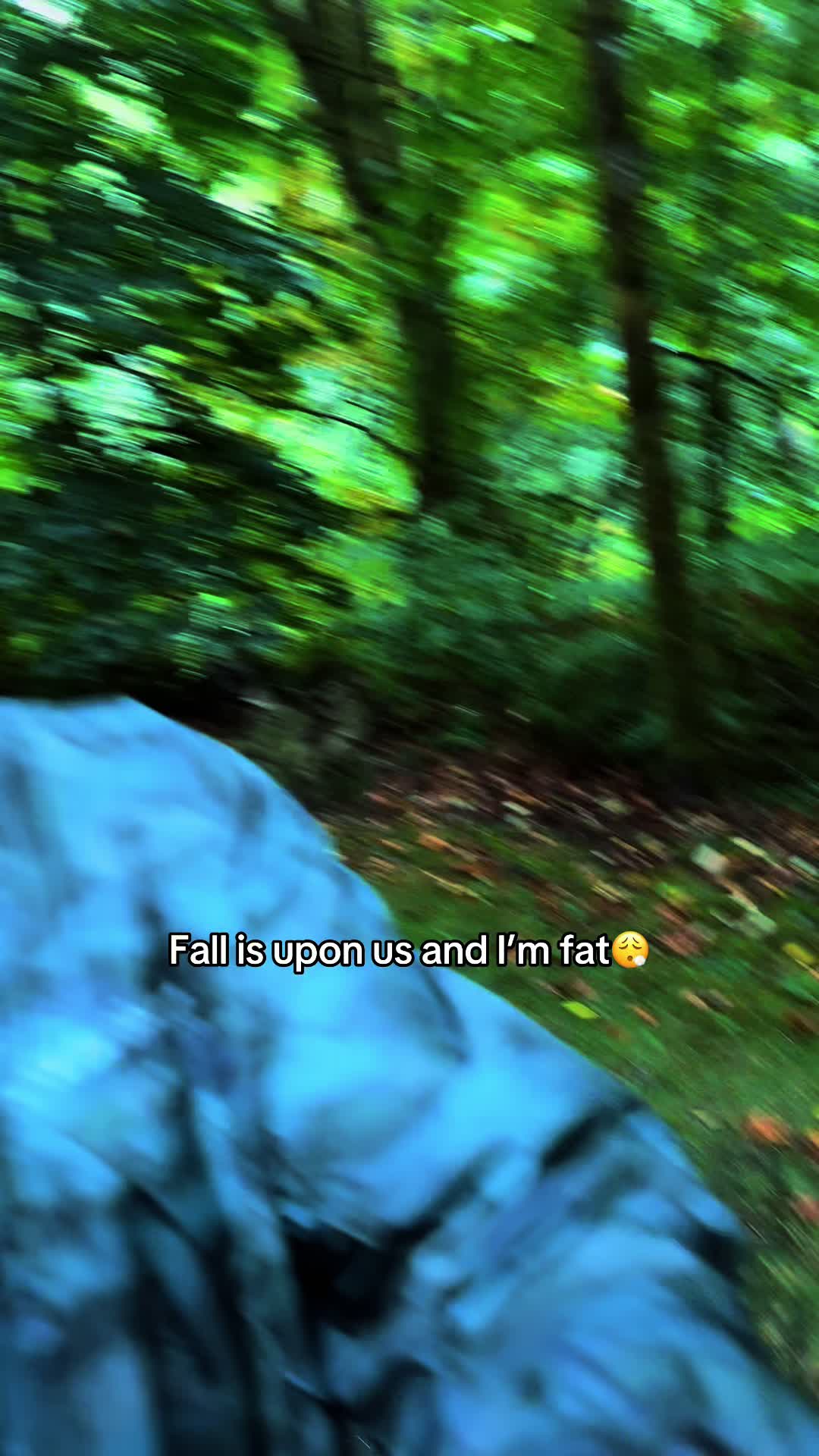 @🌲 James | WA 🏔️