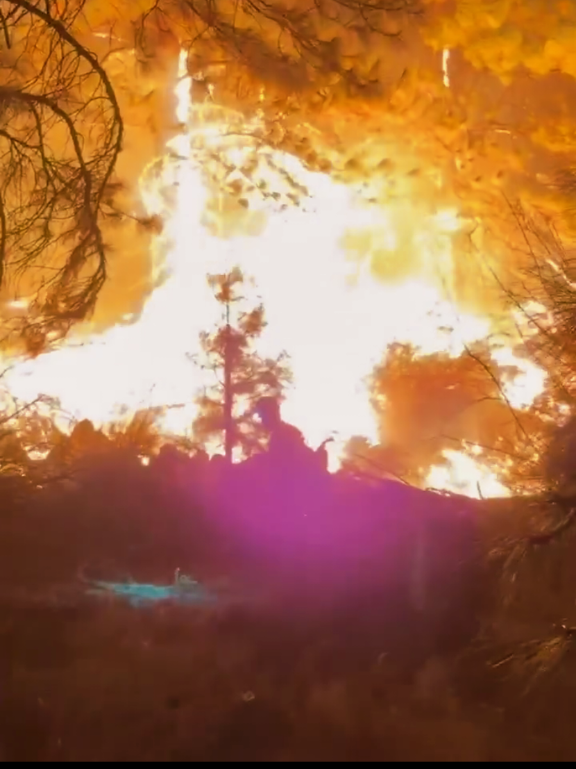 @My Wildfire World