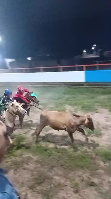 @JOSÉ DAVID