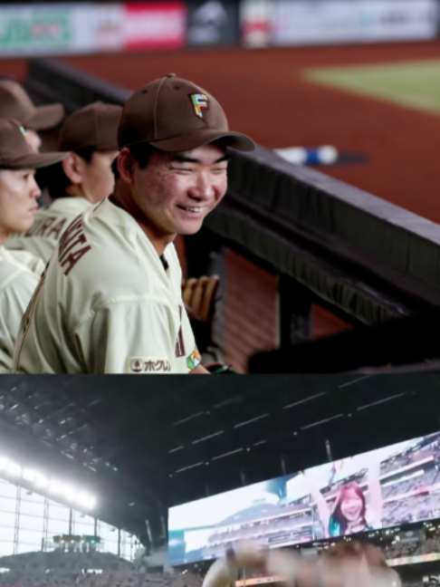 @【公式】北海道日本ハムファイターズ