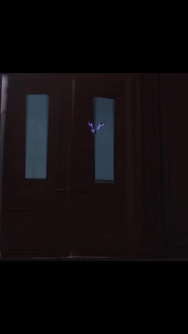 @vaninoir