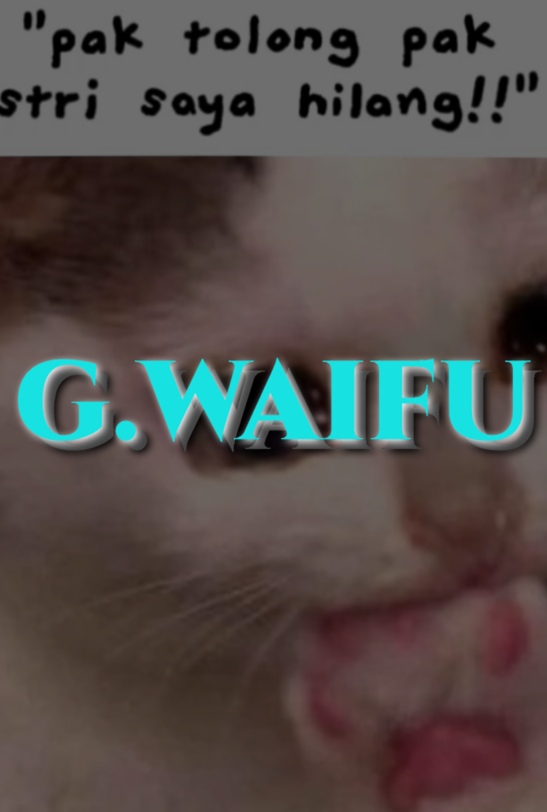 @gudangwaifu