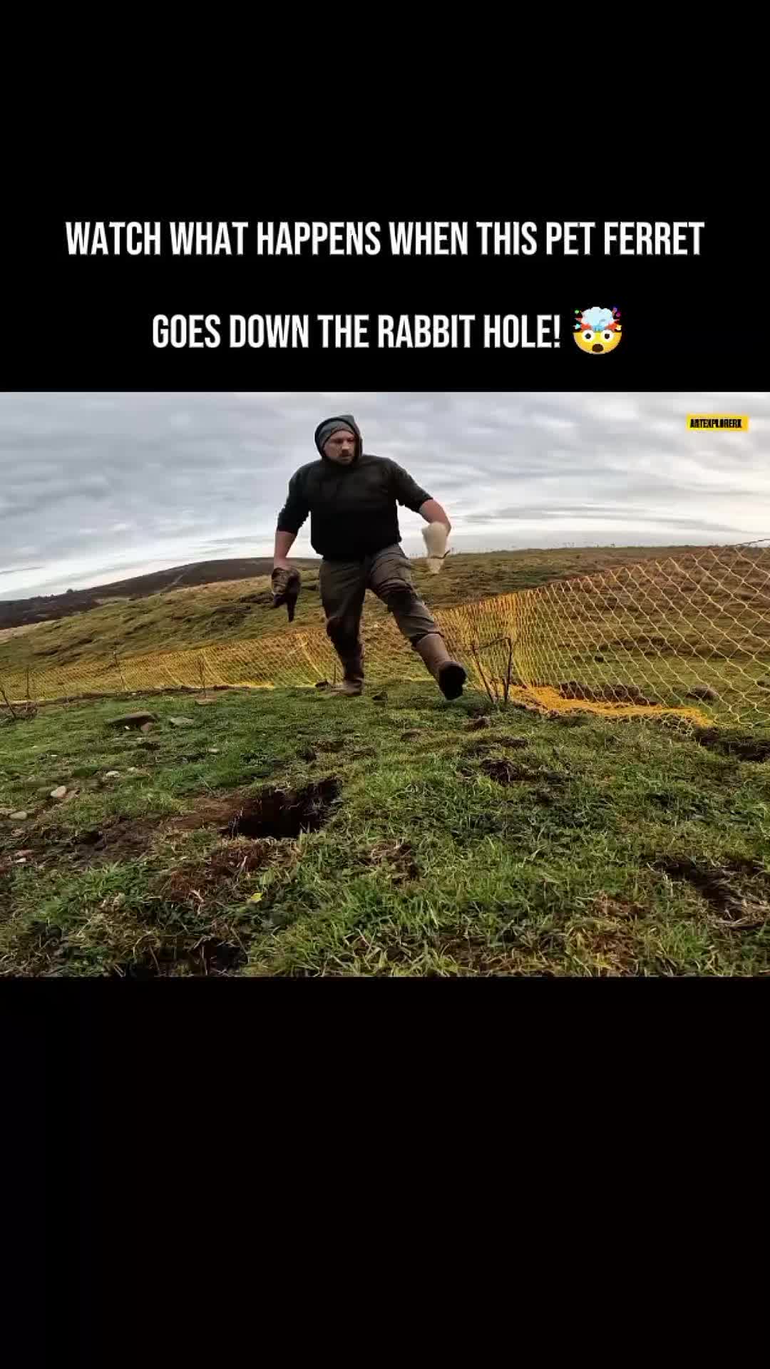 @Ant Explorerx