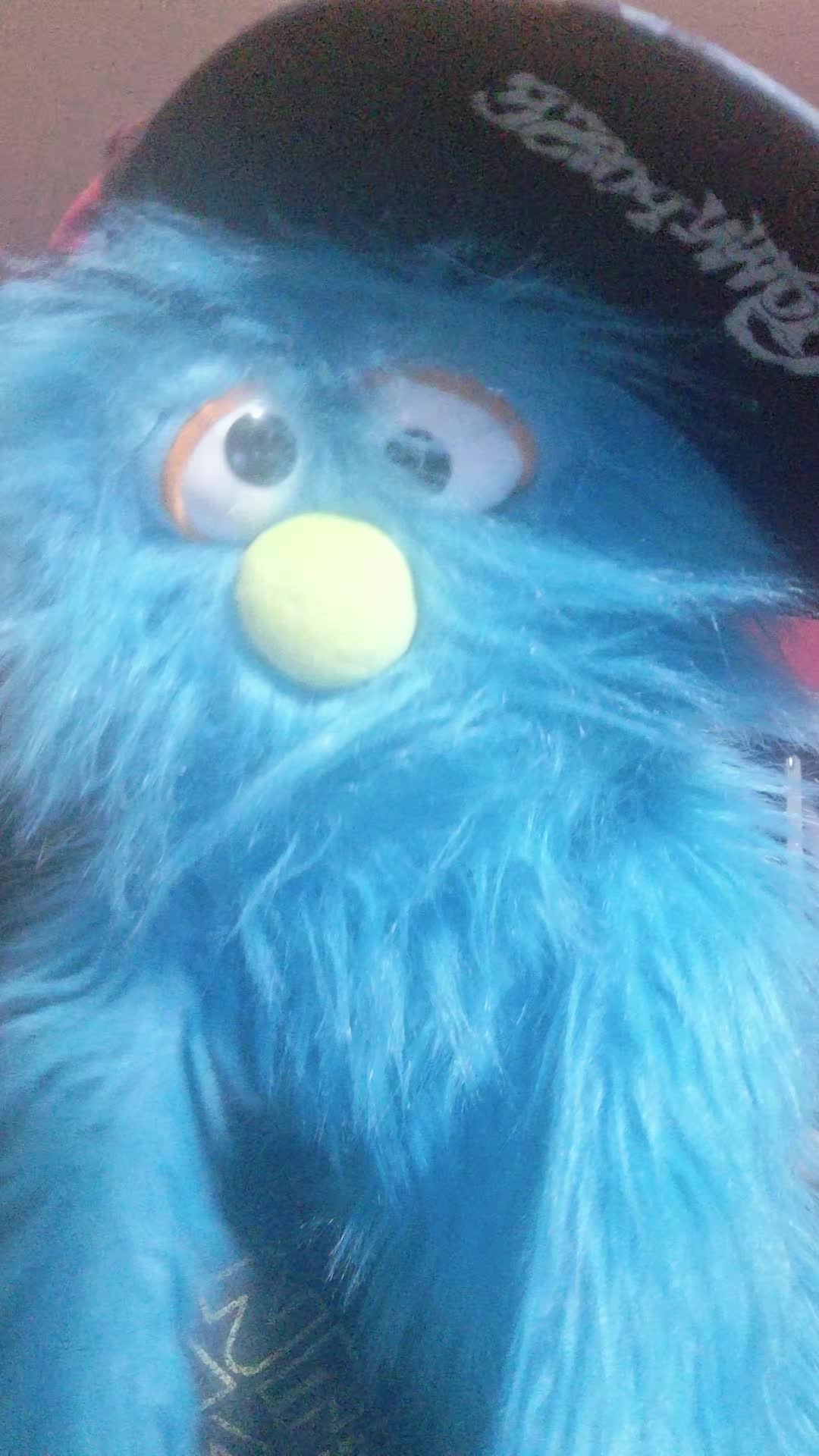 @💙pickelrick/ juggalo Muppet💙