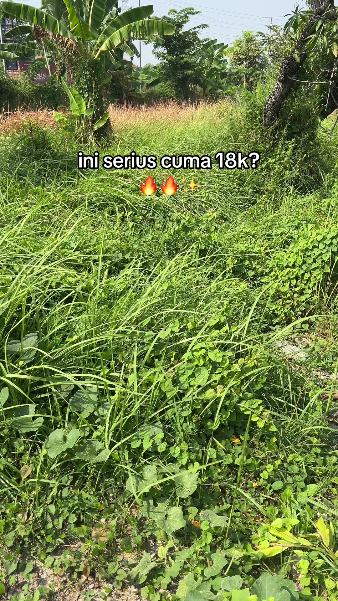 @abdullah.barik