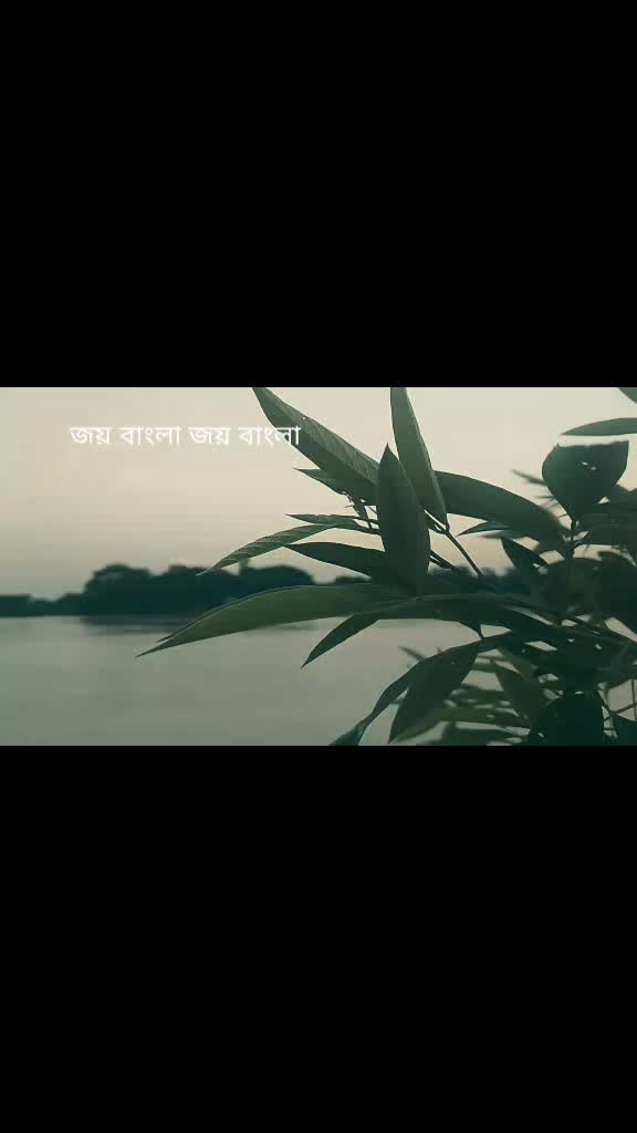 @বরিশাল ছাত্রলীগ