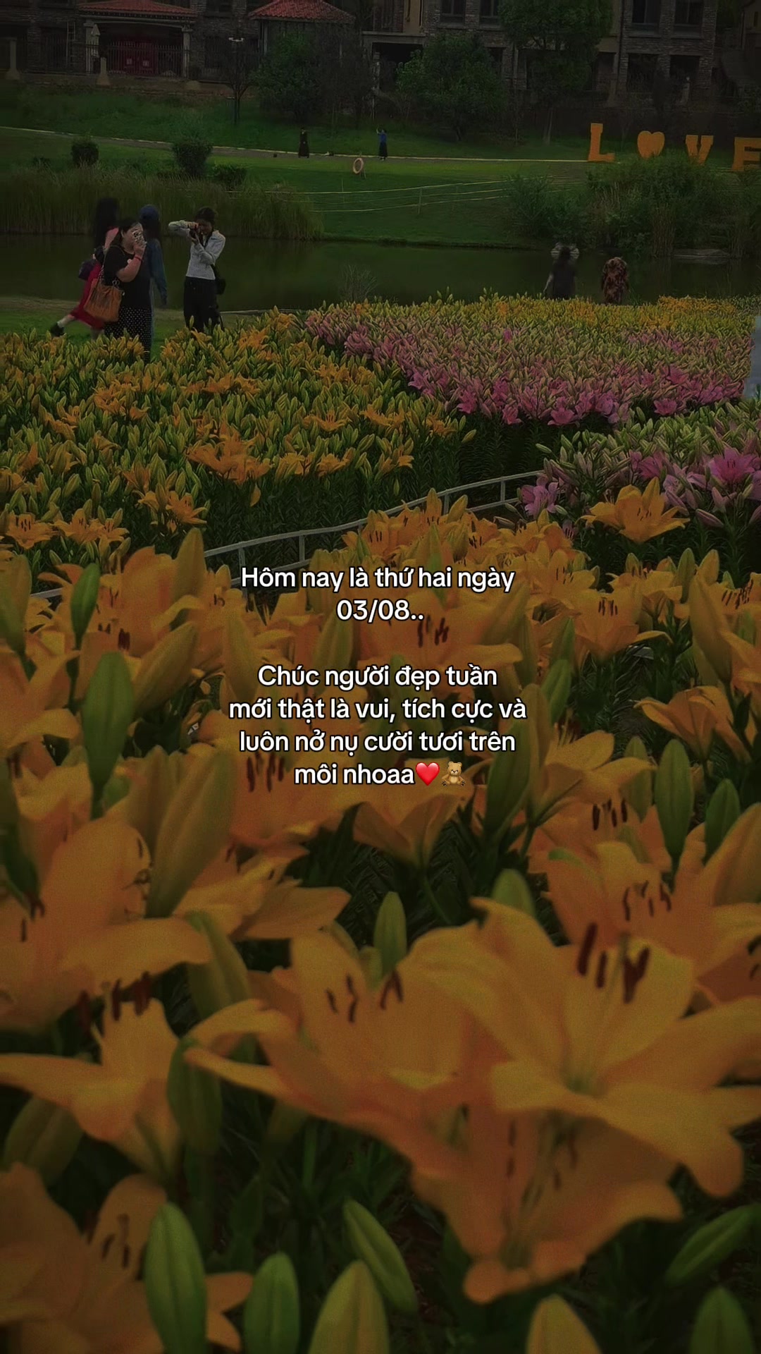 @ᥫᩣѕυy мộт cнúт౨ৎ