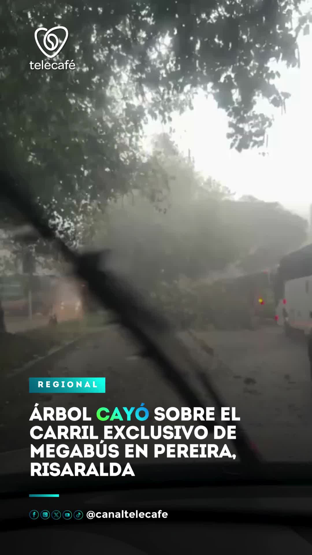 @Canal Telecaf&eacute;