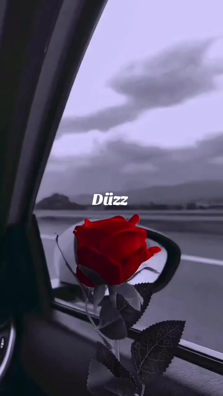 @Zaraiftixar94