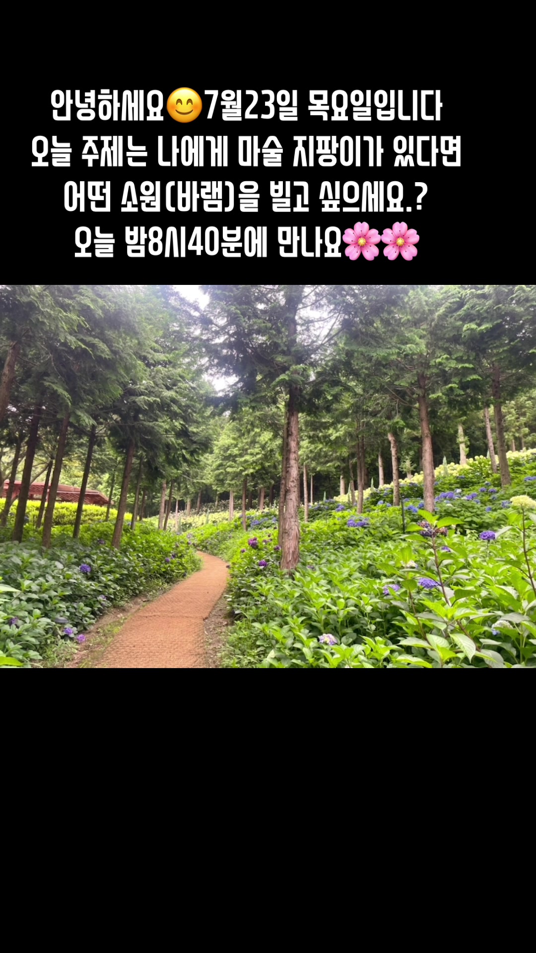 @🪴줄리애쉬