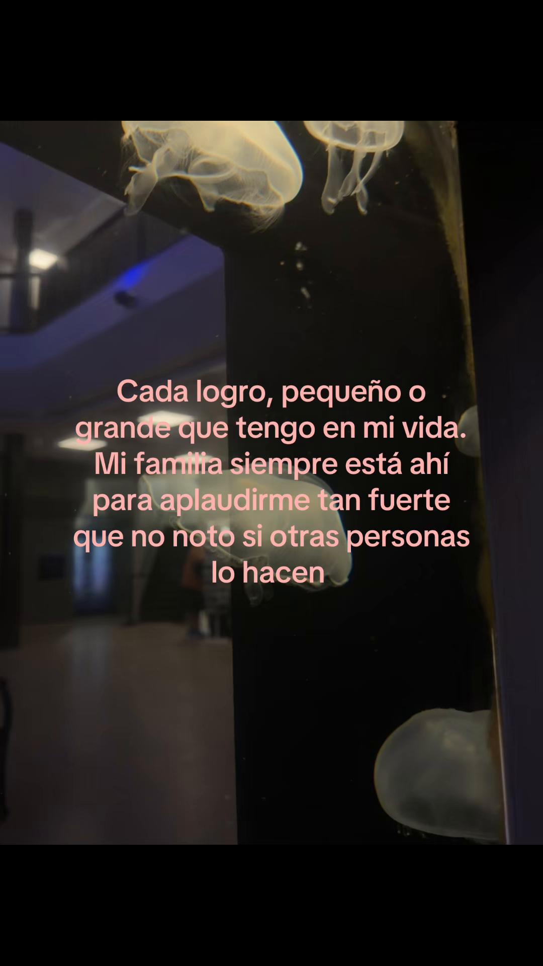 @Alisson Gudeño