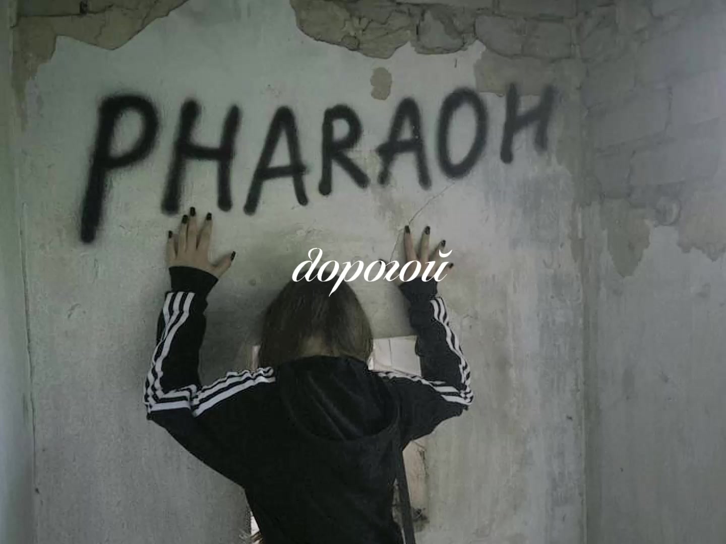 @Сашка Кудряш