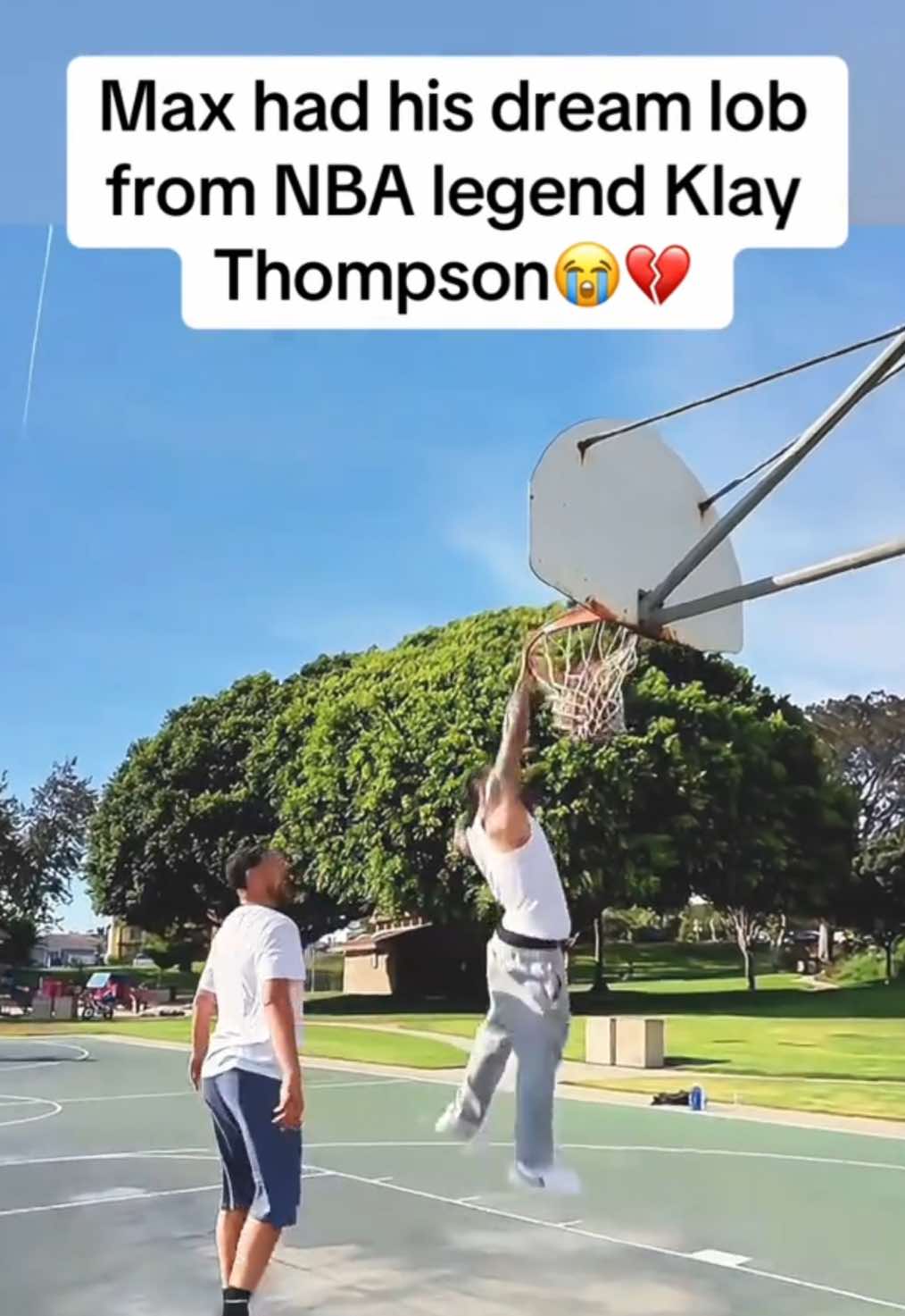 @xelaplug