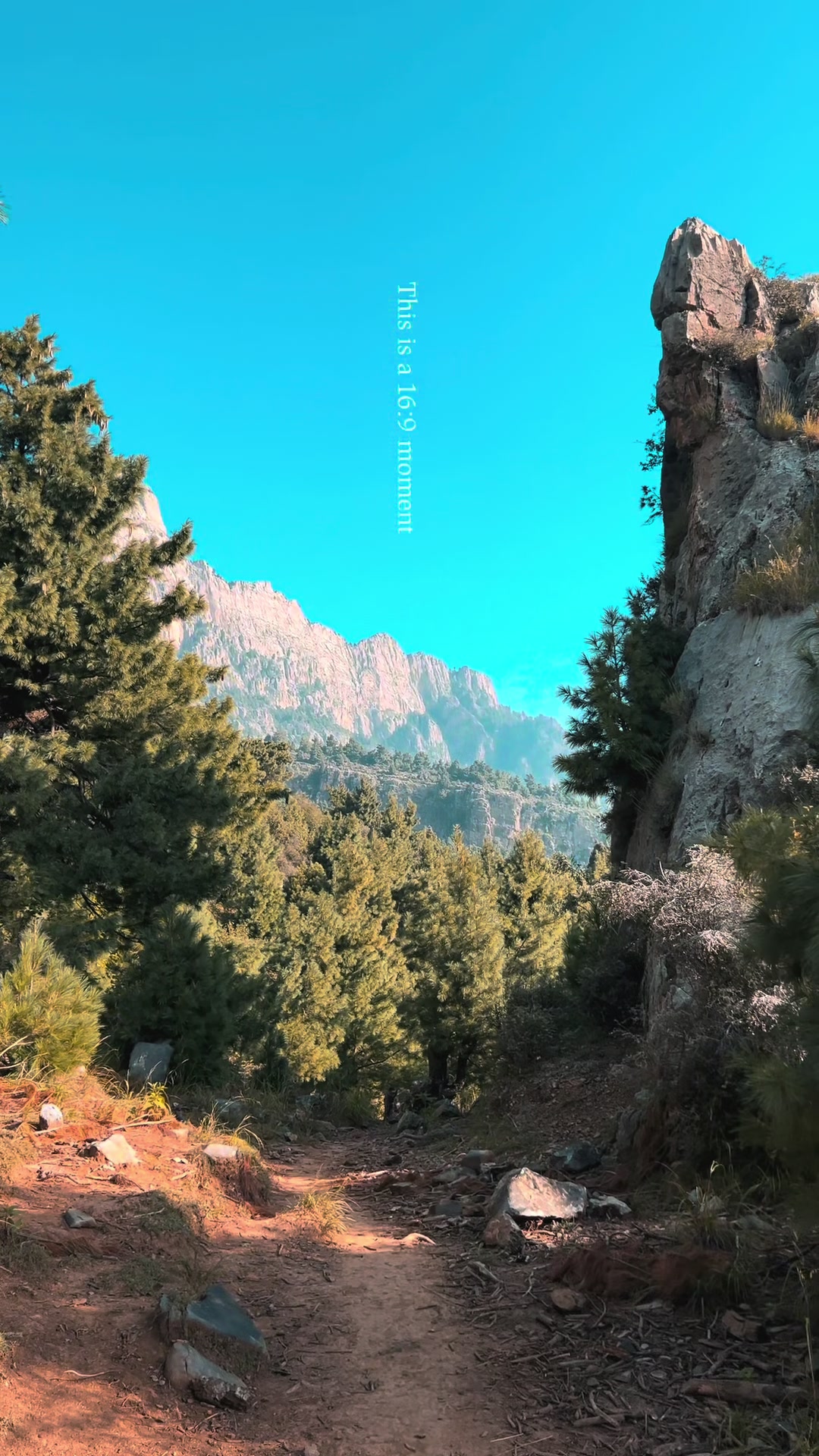 @🫀✨مادروطن بلوچستان✨🫶