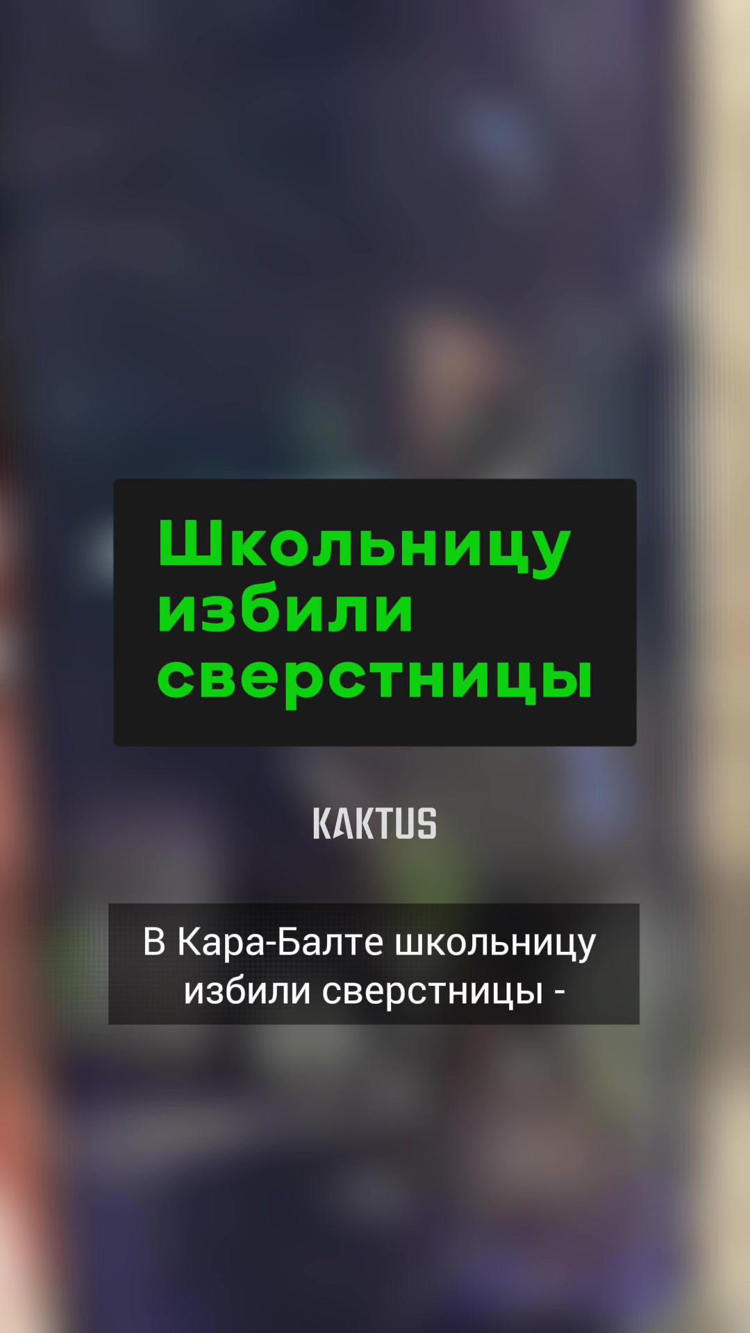 @Kaktus.media