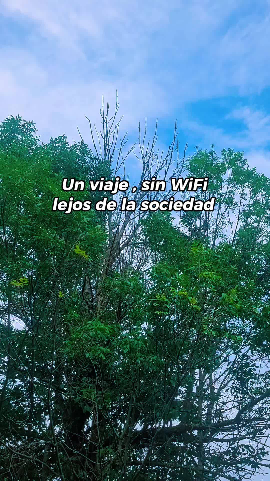 @edvin k