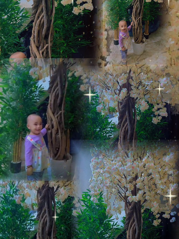 @๐ขษณแตค๐๐ข๐
โฒ๐ค ๐ถ
