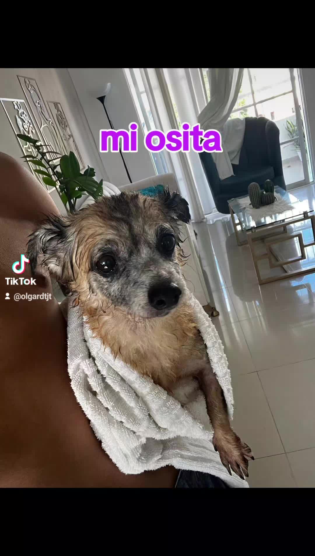 @promoción TJT Europa 🎶