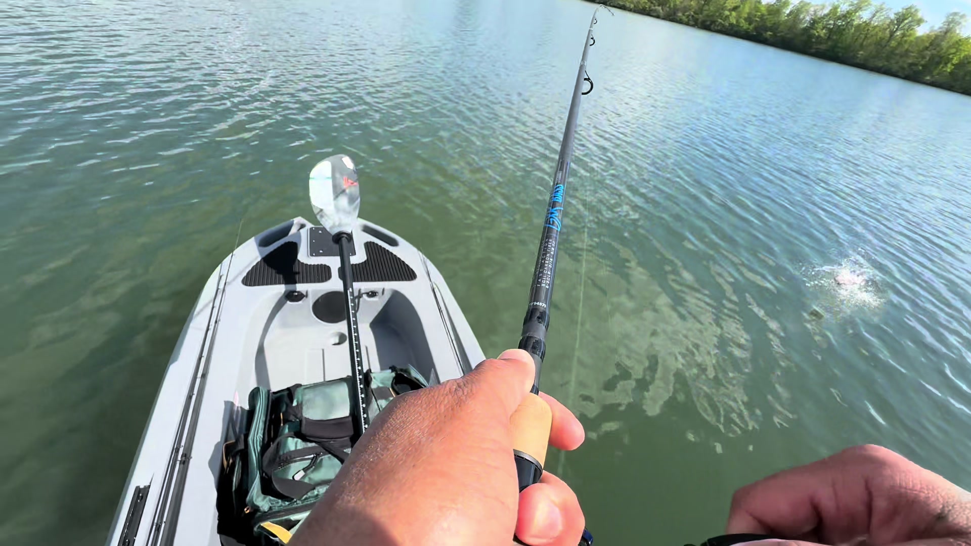 @BigBassFish