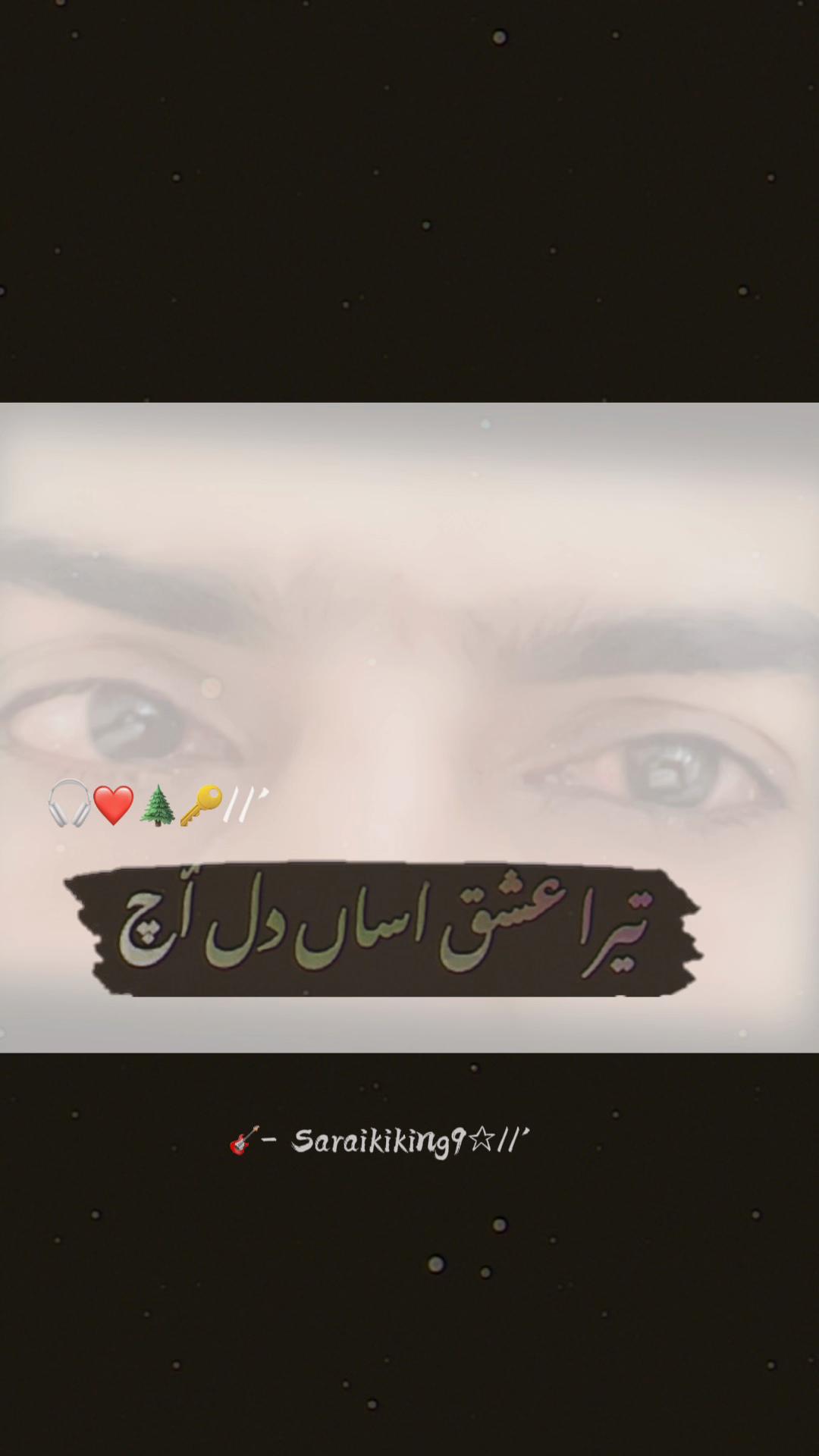 @👑چوہدری عبداللہ وڑائچ 👑