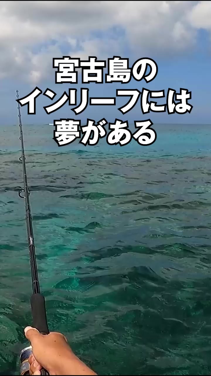 @エルドラド
