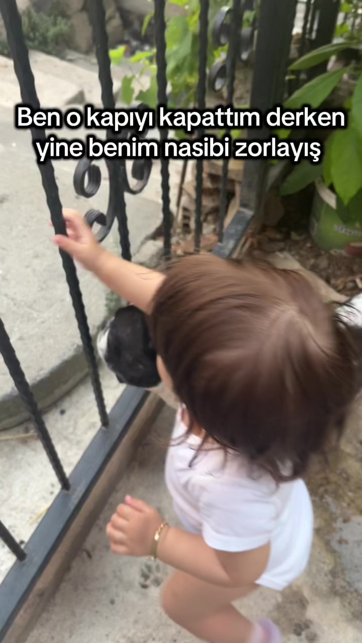 @Hatice Derici