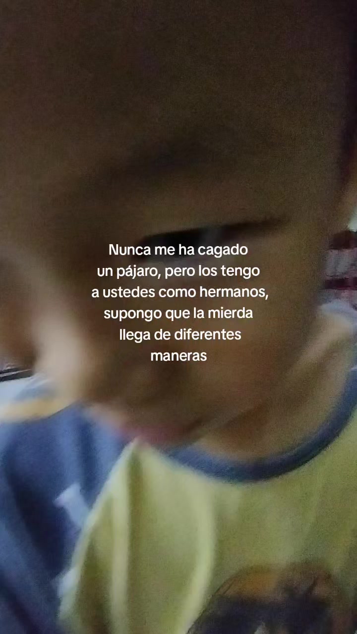 @ℰ𝓁𝓎🧣