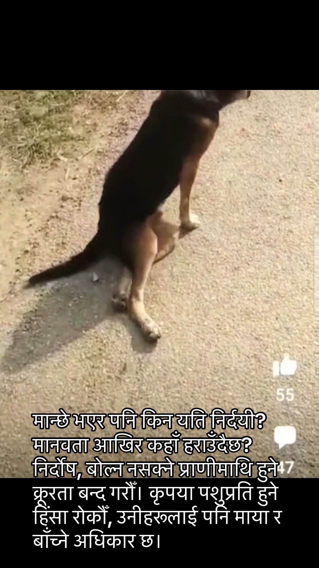 @Srijanathakuri